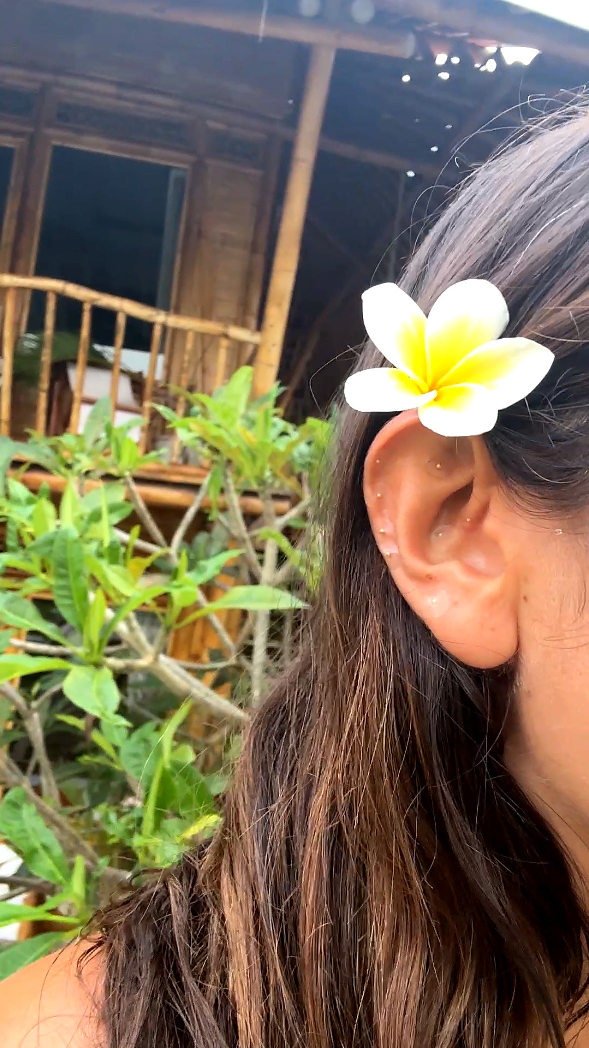 Ora Healing - ear seeds + frangipanier Bali